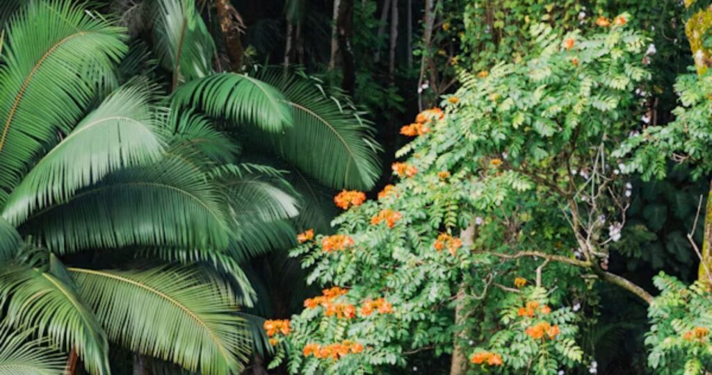 Mandevilla: The Complete Guide to Growing, Caring, and Mastering This Tropical Beauty